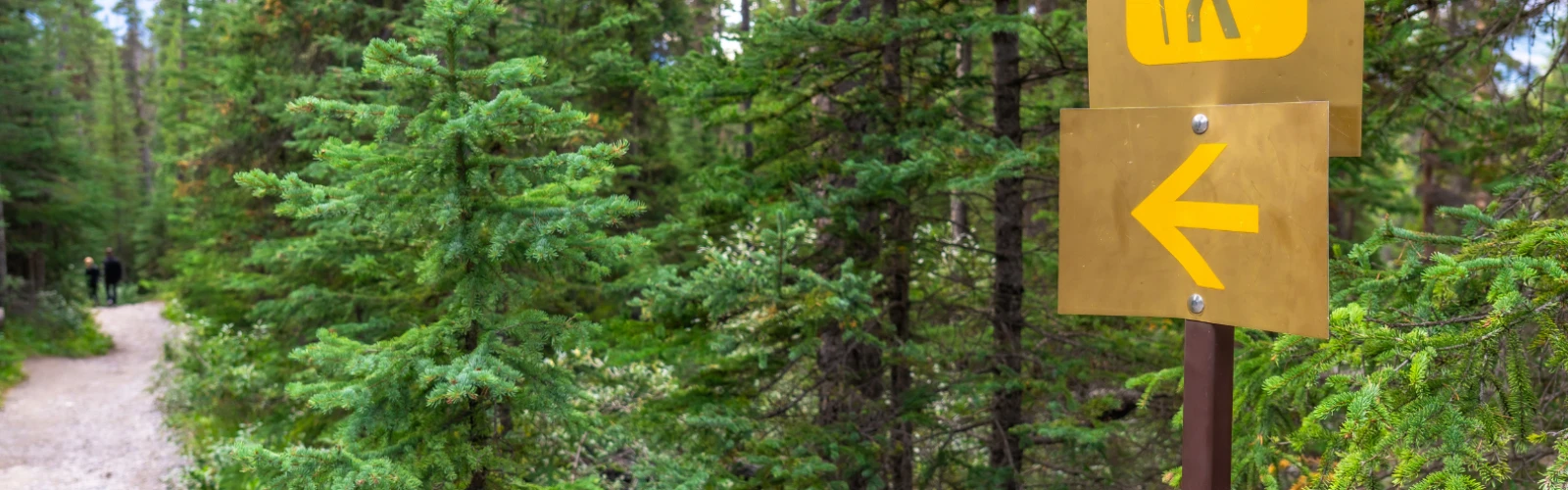 Bakersfield Outdoor Guide: Hiking, Parks & Nature Escapes