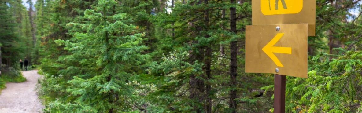 Bakersfield Outdoor Guide: Hiking, Parks & Nature Escapes