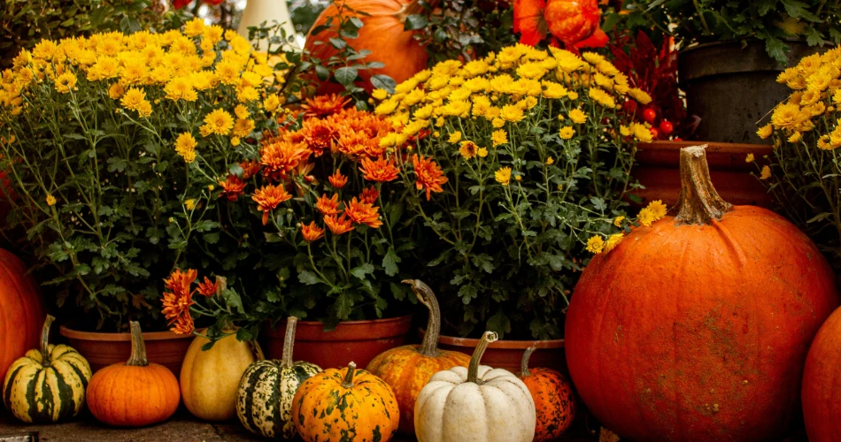 Upcoming Events in Bakersfield: Festivals, Shows & Local Happenings