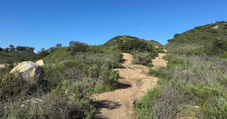 Bakersfield Outdoor Guide: Hiking, Parks & Nature Escapes