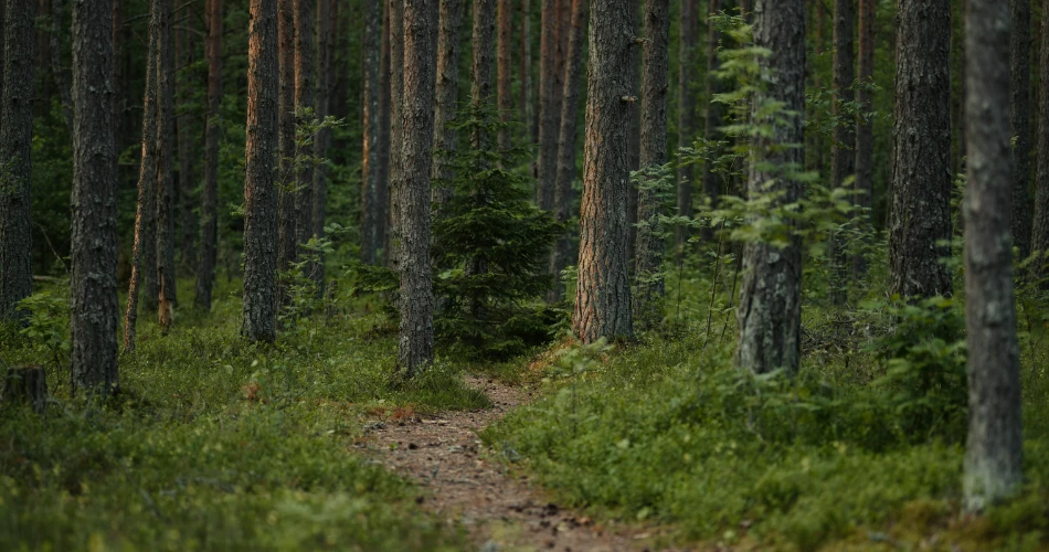 Bakersfield Outdoor Guide: Hiking, Parks & Nature Escapes